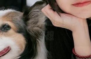 私房短裤欣赏：樱群的图像，让人忍不住幻想