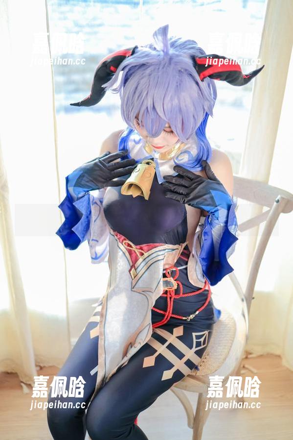 猫猫写真集：流年不停w的柔和光影