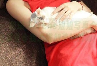 青豆客 – 萌琪琪Lrene姐姐写真合集：都是那些令我心跳加速的瞬间！